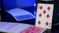 Preview: Tumi Magic presents Glitch Card (Blue) by Tumi Magic