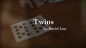 Preview: Twins by David Luu - Video - DOWNLOAD