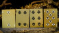 Preview: Vermilion Bird Black Gold Box Set by Ark - Pokerdeck