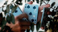 Preview: Viscid - Pokerdeck