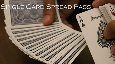 Magic Encarta Presents Single Card Spread Pass by Vivek Singhi - Video - DOWNLOAD