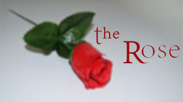 The Rose by Sandro Loporcaro (Amazo) - Video - DOWNLOAD