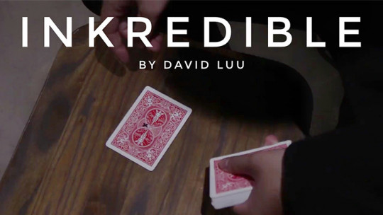 INKredible by David Luu - Video - DOWNLOAD