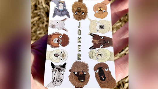 Alpaca Farm Playing Cards - Pokerdeck