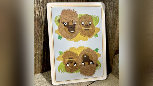 Alpaca Farm Playing Cards - Pokerdeck