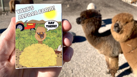 Alpaca Farm Playing Cards - Pokerdeck