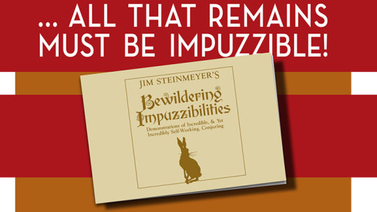 Bewildering Impuzzibilities by Jim Steinmeyer - Buch