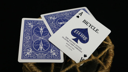 Bicycle Euchre - Pokerdeck