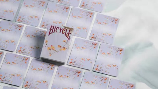 Preview: Bicycle Seasons (Winter Edition) Playing Cards