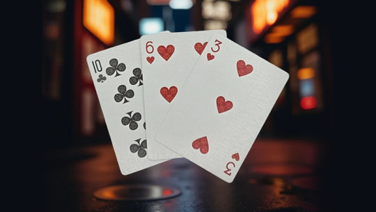 Preview: Biker Cats by Collectable - Pokerdeck