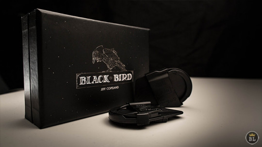 Blackbird by Jeff Copeland