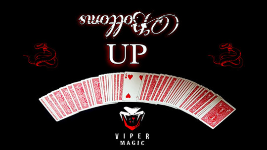 Bottoms UP by Viper Magic - Video - DOWNLOAD