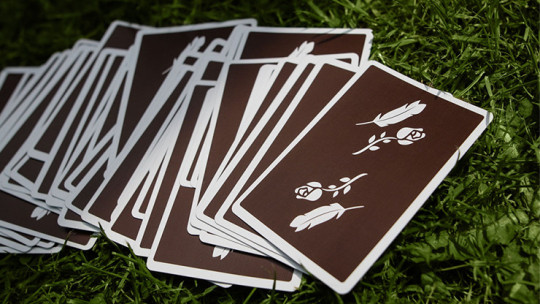 Brown Remedies by Madison x Schneider - Pokerdeck