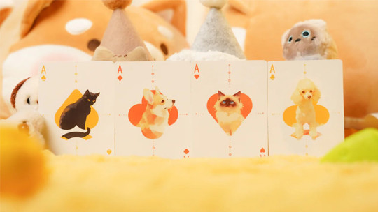 Cat & Dog by TCC Fashion - Pokerdeck