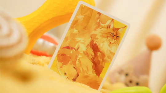 Cat & Dog by TCC Fashion - Pokerdeck