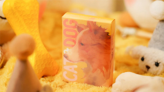 Cat & Dog by TCC Fashion - Pokerdeck