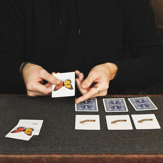 Preview: CaterFly by Magical Project