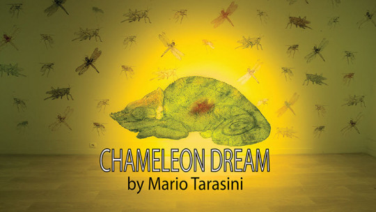 Chameleon Dream by Mario Tarasini - Video - DOWNLOAD