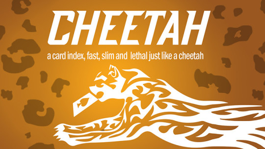 Cheetah by Berman Dabat and Michel