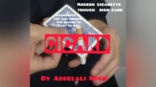 Cicard by Abdelali Nour - Video - DOWNLOAD