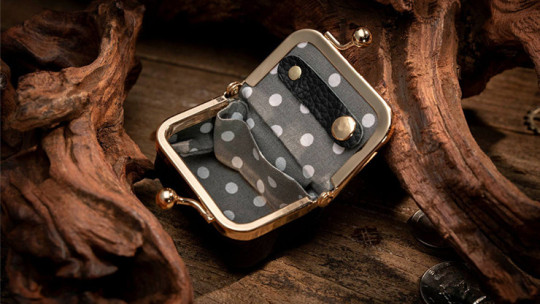 Preview: Coin Bag by TCC Magic