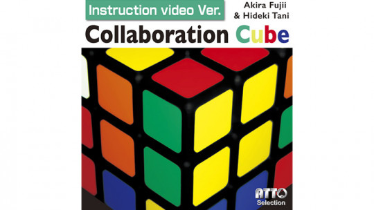Collaboration Cube by Akira Fujii & Hideki Tani
