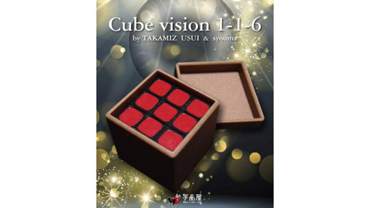 Cube Vision 1-1-6 by Takamiz Usui and Syouma