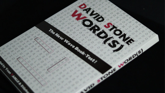 David Stone's Words (English Version)