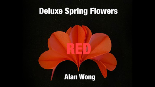 Deluxe Spring Flowers RED by Alan WOng