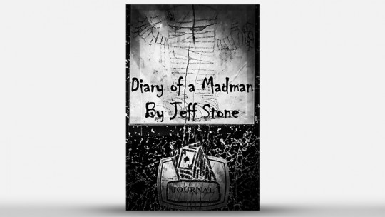Diary of a Madman by Jeff Stone - Buch
