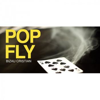 Pop Fly by Bizau Cristian - Video - DOWNLOAD