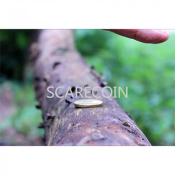 Scare Coin by Arnel Renegado - Video - DOWNLOAD