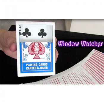 Window Watcher by Aaron Plener - Video - DOWNLOAD
