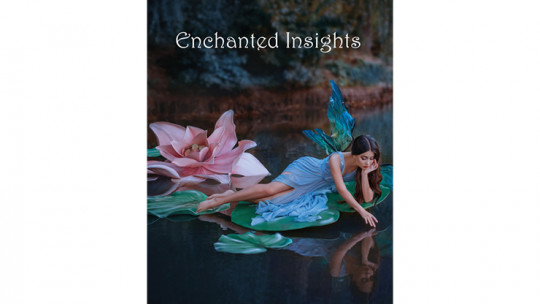 ENCHANTED INSIGHTS BLUE (French Instruction) by Magic Entertainment Solutions - Markiertes Kartenspiel