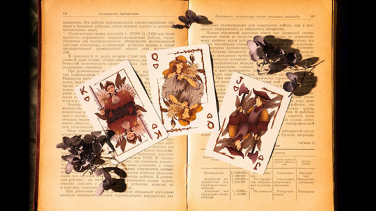 Epiphyllum - Pokerdeck