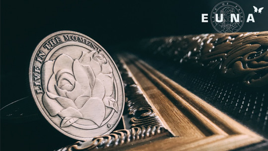 Euna Dollar 3er Set - Speed Coins - Moonlight Edition - Dollar Size