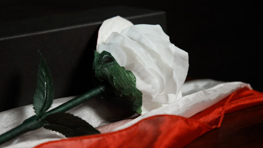 Preview: Fantasy Rose by Leon, Bond Lee & MS Magic