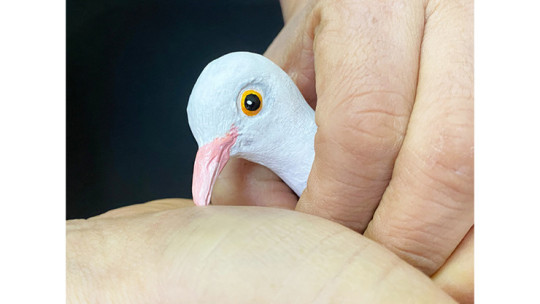 FINGER DOVE by JL Magic