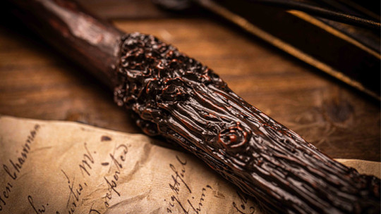 Zauberstab schießt Feuer - Ideal für Harry Potter-Kostüm – Zauberkünstler