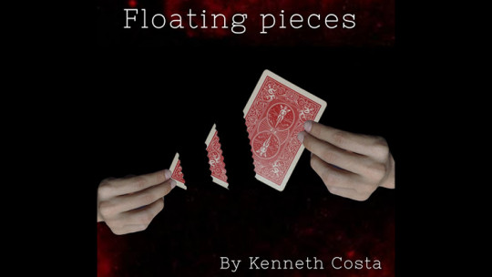 Floating Pieces by Kenneth Costa - Video - DOWNLOAD