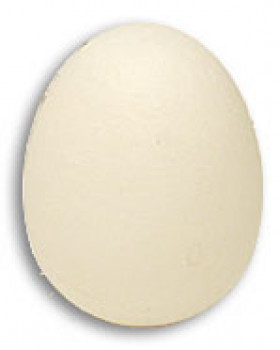 Foam Egg - Schaumstoff Ei - Fake Ei von Magic by Gosh
