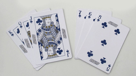 Georgia Southern Playing Cards