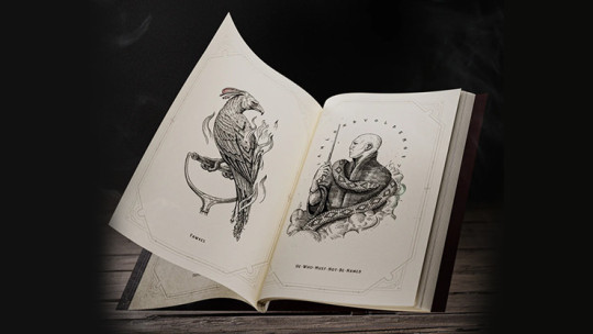 Preview: Harry Potter Self-Coloring Book by theory11