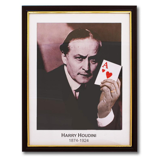 Houdini Prediction Frame