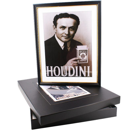Houdini Prediction Frame - Bühnentrick