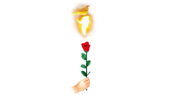 Preview: Instant Rose by Vincenzo DiFatta