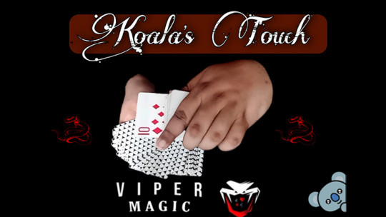Koala's Touch by Viper Magic - Video - DOWNLOAD