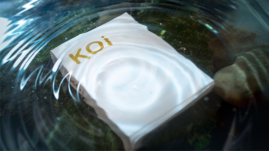 Koi V2 Playing Cards by Byron Leung - Pokerdeck