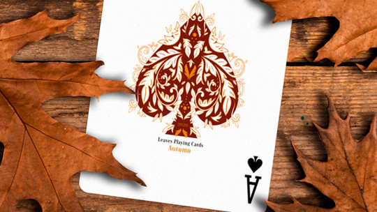 Leaves Autumn Edition Collector's Box Set by Dutch Card House Company - Pokerdeck