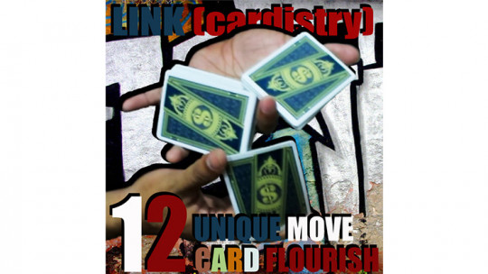 LINK (Cardistry Project) by SaysevenT - Video - DOWNLOAD
